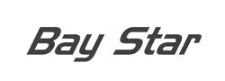 Bay Star logo