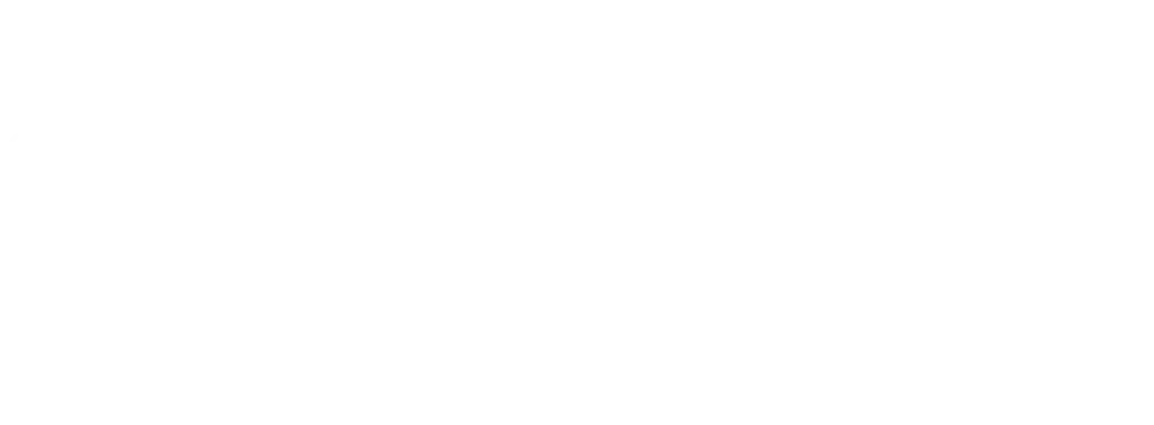 Prolite logo