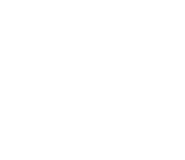 Microlite Trailer logo