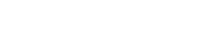 LIV RV logo