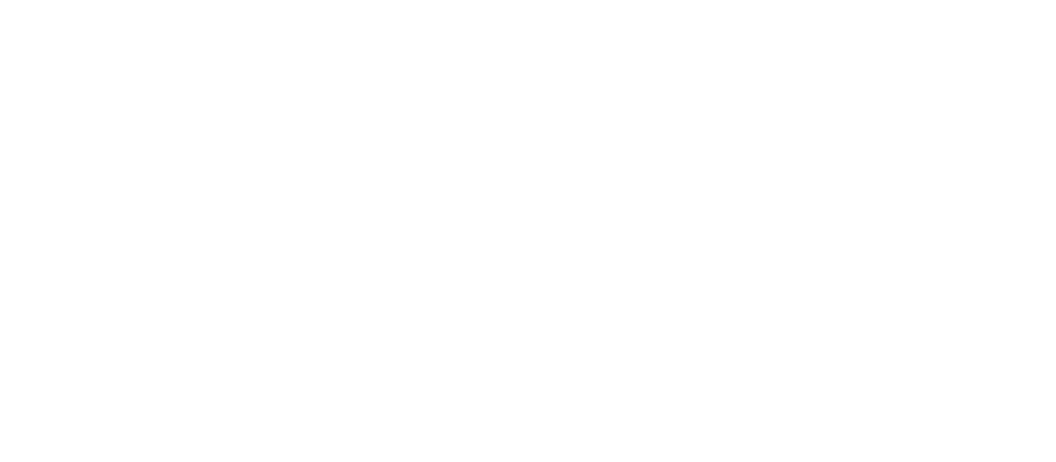 American Coach