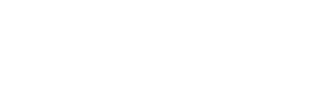 Livin Lite logo
