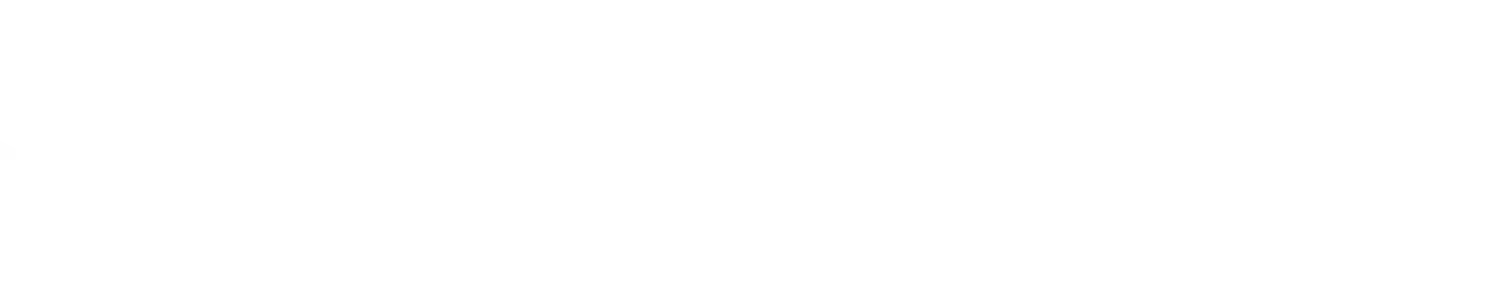 Sun Valley Inc logo