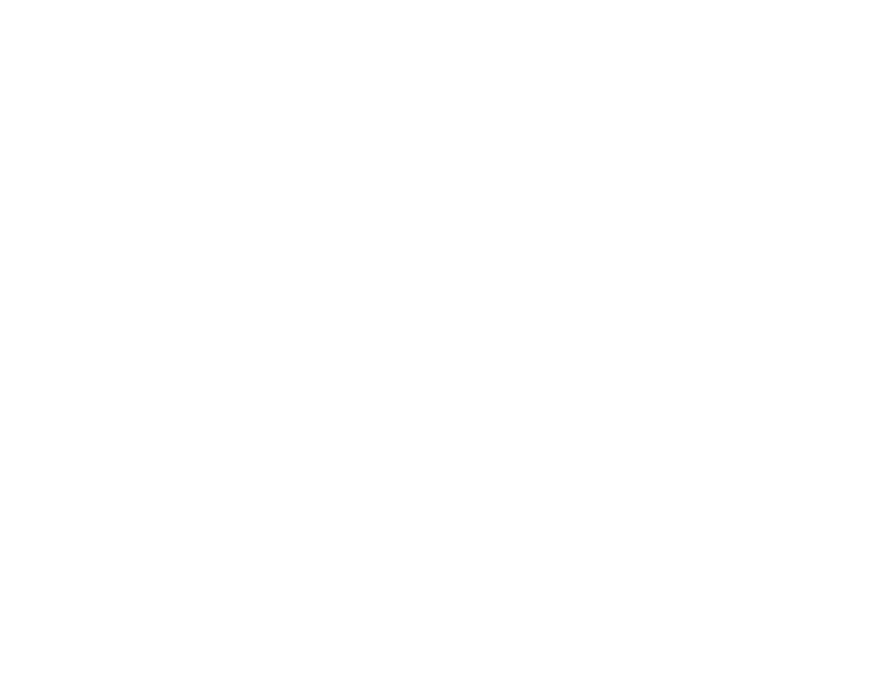 Beaver logo