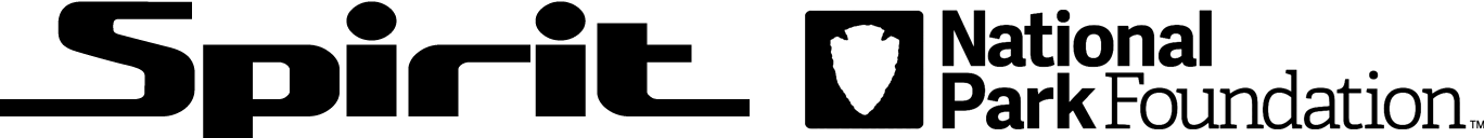 Spirit NPF Limited Edition logo