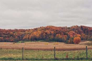 8 Amazing Ohio Campgrounds For Loads Of Family Fun